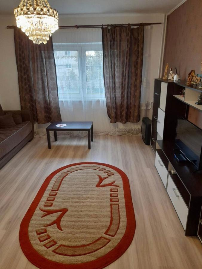 Ploiesti Ultracentral !!! エクステリア 写真